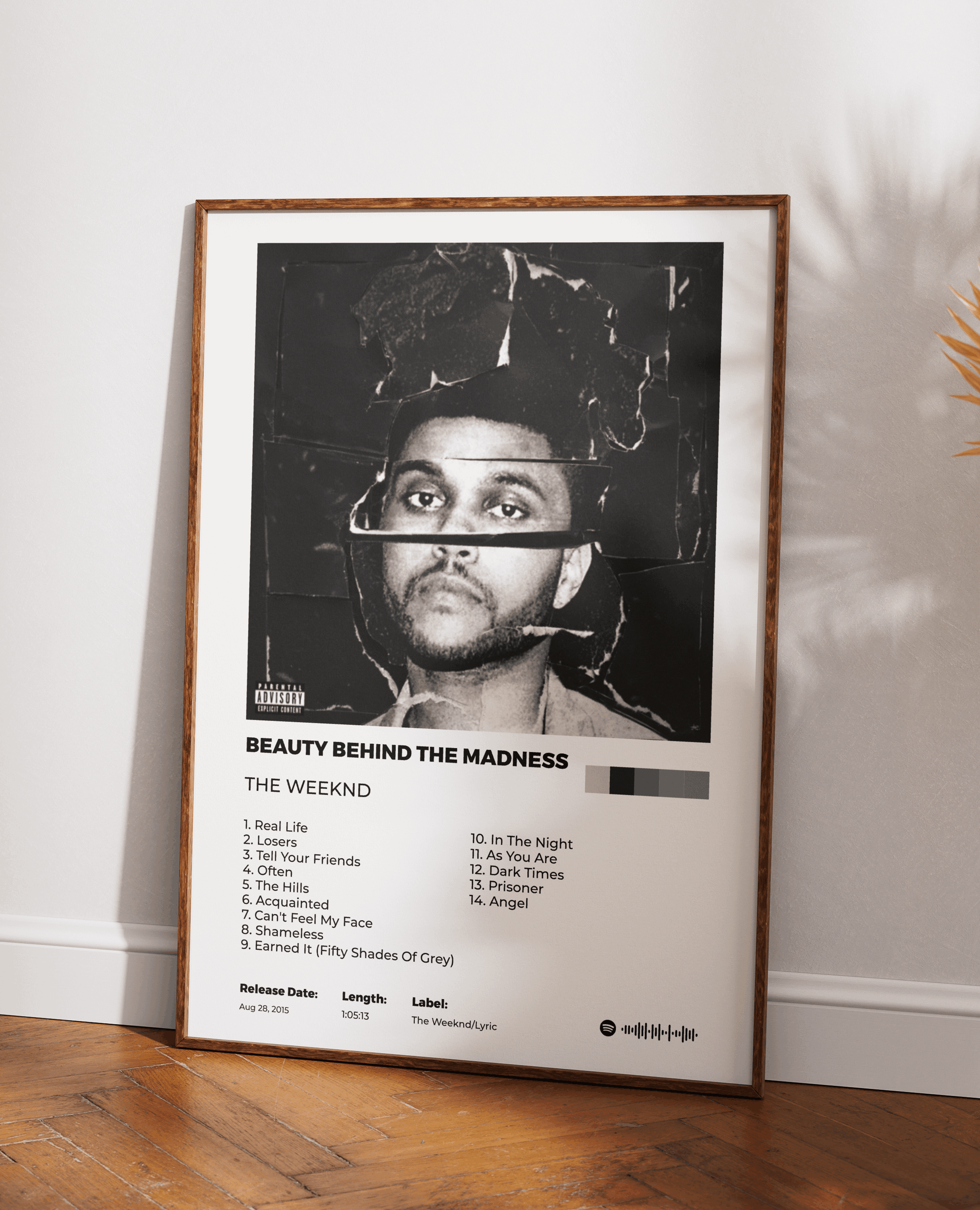 Beauty behind the madness poster