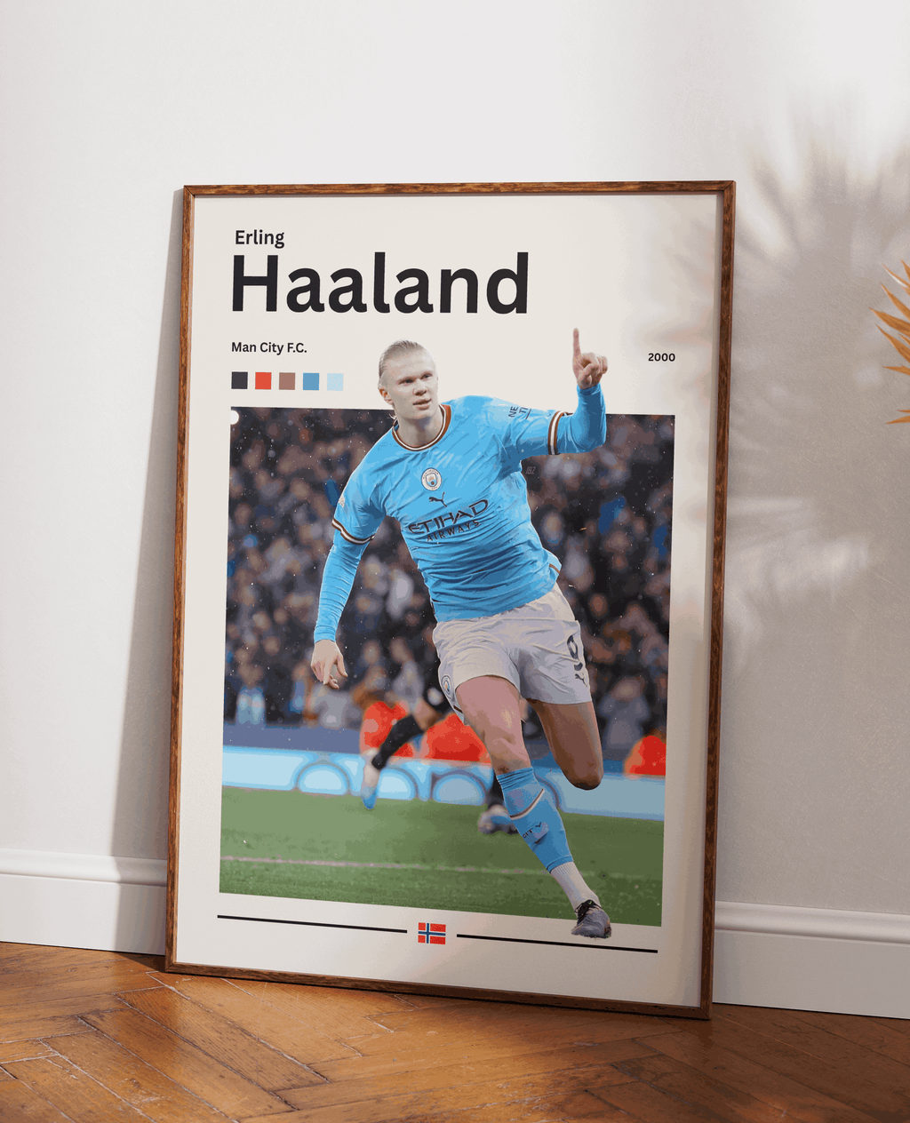 Haaland poster