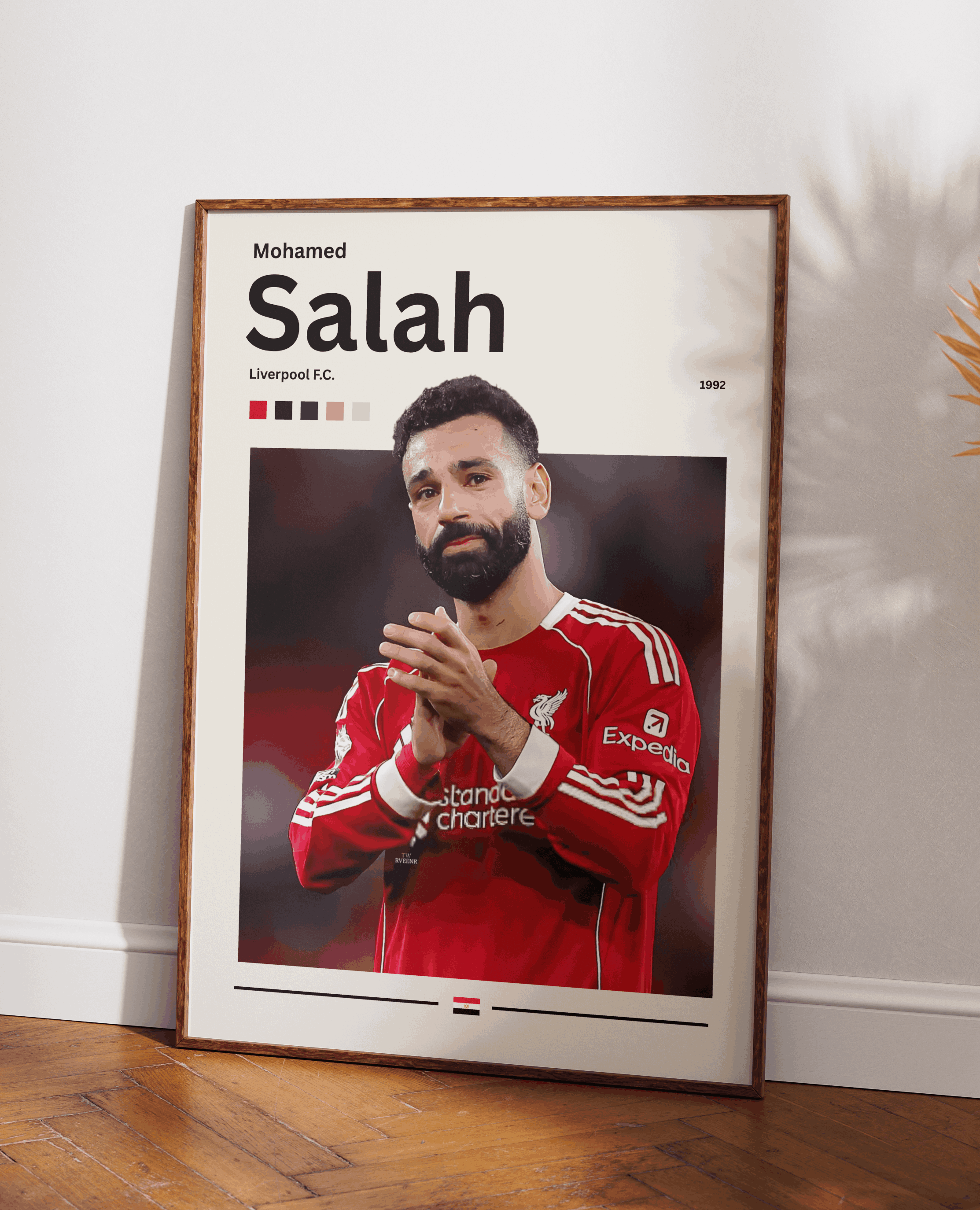 Salah poster